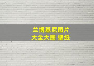 兰博基尼图片大全大图 壁纸